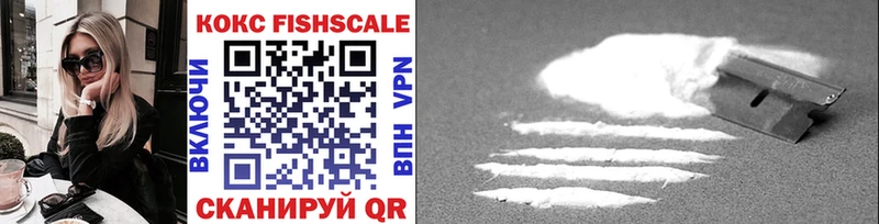 darknet как зайти  Зубцов  Кокаин FishScale  МЕГА вход 