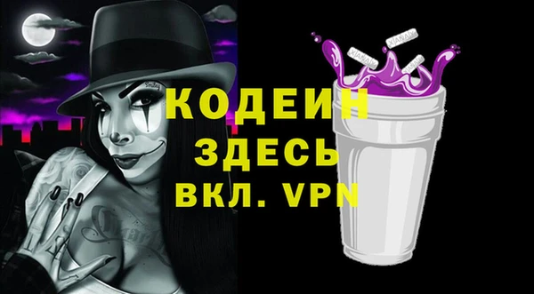 хмурый Алзамай
