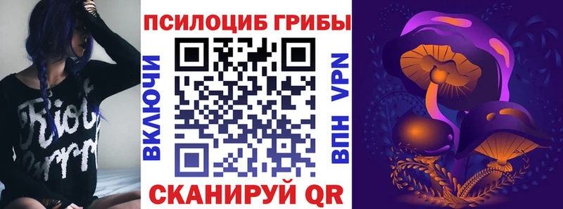 Галлюциногенные грибы GOLDEN TEACHER  Зубцов 